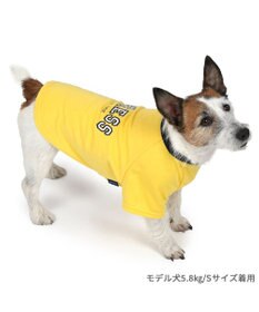 PET PARADISE J.PRESS カレッジ Tシャツ 小型犬