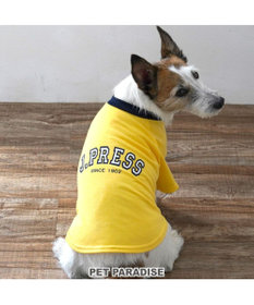 まめいぬ J.PRESS カレッジ Tシャツ 小型犬 / PET PARADISE | 【通販