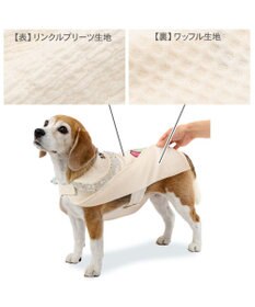 PET PARADISE スヌーピー バースデー ポンチョ 中型犬 大型犬