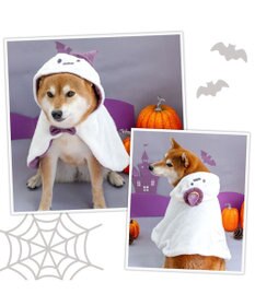 PET PARADISE ペットパラダイス お化け ケープ 中型犬 大型犬