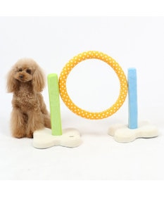 PET PARADISE 犬 トイ TOY ペットパラダイス アジリティ セット 訓練 ドッグアジリティ トレーニング
