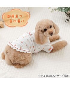 PET PARADISE ペットパラダイス ペティヒート天竺 Tシャツ 《いちご》 超小型犬 小型犬