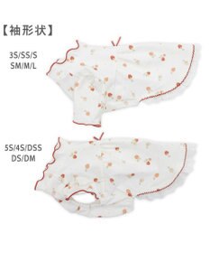 PET PARADISE ペットパラダイス ペティヒート天竺 Tシャツ 《いちご》 超小型犬 小型犬