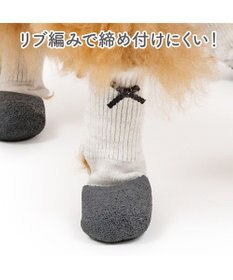 PET PARADISE ペットパラダイス バレエ スリット シューズ  ＳＳ