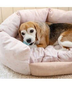 PET PARADISE スヌーピー 淡色カドラー L