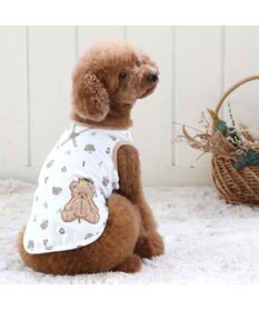 PET PARADISE ペットパラダイス くまちゃん ペティヒート タンクトップ 小型犬 超小型犬