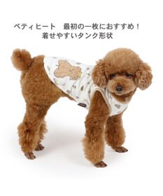 PET PARADISE ペットパラダイス くまちゃん ペティヒート タンクトップ 小型犬 超小型犬