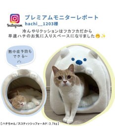 PET PARADISE ペットパラダイス しろくま 接触冷感 クール ハウス  (38×38cm)