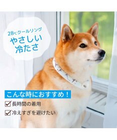 PET PARADISE ペットパラダイス ２８℃ クールリング Ｍ 《サメ柄》