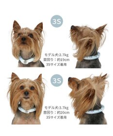 PET PARADISE ペットパラダイス ２８℃ クールリング ＳＳ 《サメ柄》