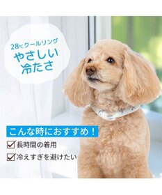 PET PARADISE ペットパラダイス ２８℃ クールリング ＳＳ 《サメ柄》