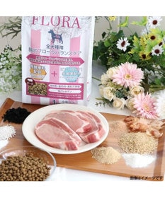 PET PARADISE ≪配合リニューアル≫ ペットパラダイス 国産 ドッグフード フローラ 1kg