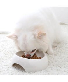 PET PARADISE ≪配合リニューアル≫ ペットパラダイス 国産 ドッグフード フローラ 1kg