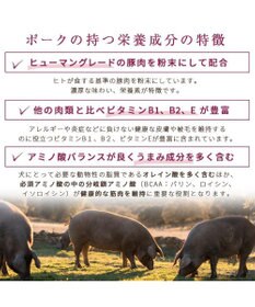 PET PARADISE ≪配合リニューアル≫ ペットパラダイス 国産 ドッグフード フローラ 1kg