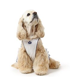 PET PARADISE ペットパラダイス エコメイド 天竺 刺繍キャミソール 中型犬 大型犬