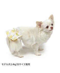 ペットパラダイス サニタリーパンツ 《ミモザ柄》 小型犬 / PET