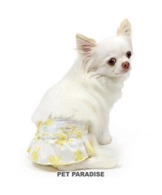 PET PARADISE ペットパラダイス サニタリーパンツ 《ミモザ柄》 小型犬