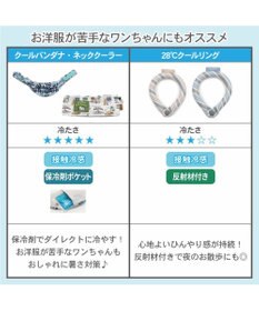 PET PARADISE クールリング 犬 クールネック ひんやり 28℃クールリング 【３Ｓ】 リフレクター 水色 ベージュ  反射材付き