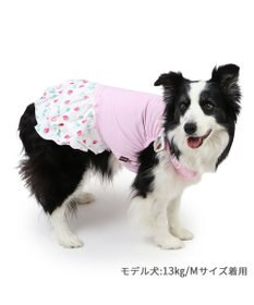 ペットパラダイス 接触冷感 ワンピース 《いちご柄》 中型犬