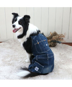 PET PARADISE Lee デニム 白ステッチ オーバーオール  中型犬 大型犬