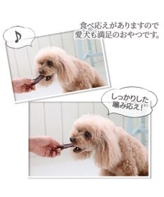 PET PARADISE 馬肉 スライス ジャーキー 大袋 100g 国産