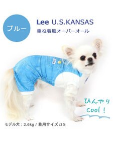 PET PARADISE Ｌｅｅ つなぎ風  ロンパース 【小型犬】《ブルー/オレンジ》クールマックスエコメイド