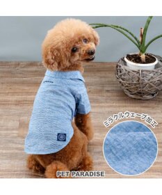 PET PARADISE J.PRESS 杢 ウェーブシャツ 《水色》 小型犬