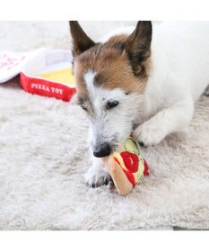 PET PARADISE ペットパラダイス ノーズワークトイ 《ピザ》