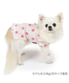 PET PARADISE ペットパラダイス 接触冷感 背中開き 甚平 《いちご柄》　小型犬