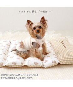 PET PARADISE ペットパラダイス ごろ寝マット 《くまちゃん柄》 小型犬