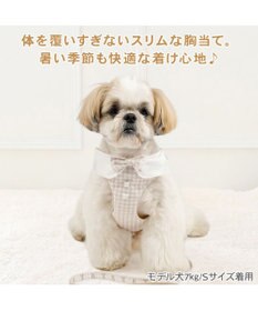 PET PARADISE ペットパラダイス くまちゃん 襟付き スリム ハーネス＆リード Ｓ 小型犬
