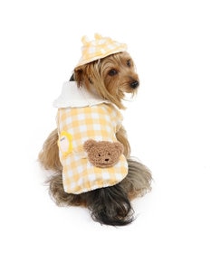 PET PARADISE ペットパラダイスなりきり くまちゃん 園児服 《チェック柄》 小型犬