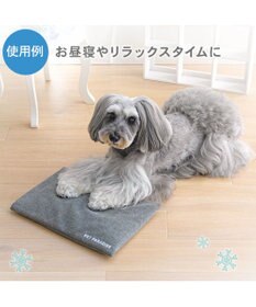 PET PARADISE ペットパラダイス やわらかアイス枕 グレー 2026