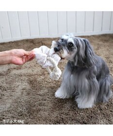 PET PARADISE ペットパラダイス 引っ張り シュシュ トイ  《 花柄 / ドット柄 》