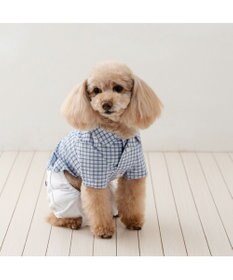 PET PARADISE J.PRESS パンツ つなぎ 《チェック》 小型犬