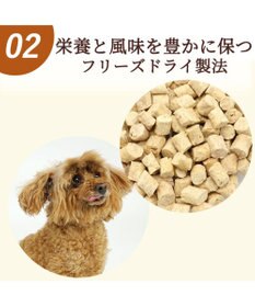 PET PARADISE さくさく 鶏むね＆レバー 22g 国産