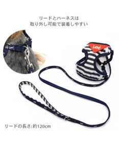 PET PARADISE Lee ハーネス＆リード 《ボーダー》 ＳＳ 小型犬