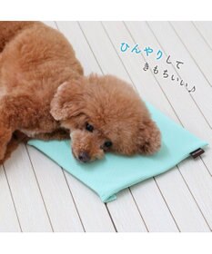 PET PARADISE ペットパラダイス  コンパクトクーラー 2025