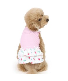 PET PARADISE ペットパラダイス 接触冷感 ワンピース 《苺柄》 小型犬