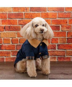 PET PARADISE ペットパラダイス 襟付き ジャケット 小型犬