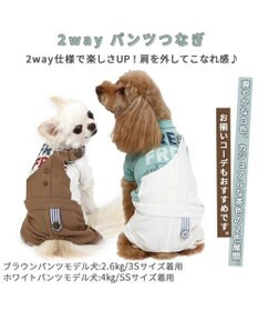PET PARADISE 犬の服 犬 パンツ つなぎ 【小型犬】 2way  ブラウン  /  ホワイト