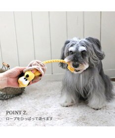 PET PARADISE ディズニー飛び出すロープトイ 《ミッキー/ミニー/プルート》