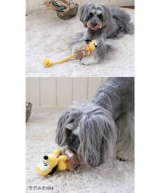 PET PARADISE ディズニー飛び出すロープトイ 《ミッキー/ミニー/プルート》