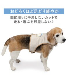 PET PARADISE リサとガスパール 保冷剤付き クール ハーネス 《シトラス柄》  ＳＭ 中型犬