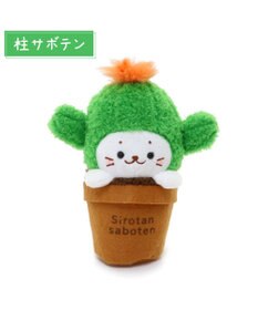 Mother garden しろたん サボテン マスコット 《柱サボテン》