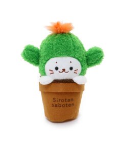 Mother garden しろたん サボテン マスコット 《柱サボテン》