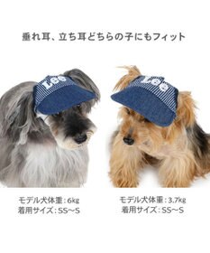 PET PARADISE Lee  ヒッコリー キャップ 小型犬