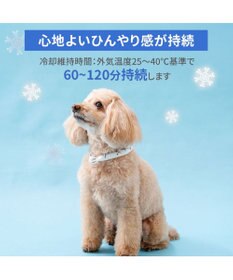 PET PARADISE ペットパラダイス ２８℃ クールリング Ｓ 《サメ柄》