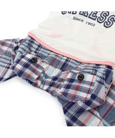 PET PARADISE J.PRESS クール 接触冷感 パンツつなぎ マドラスパンツ 小型犬