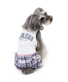 PET PARADISE J.PRESS クール 接触冷感 パンツつなぎ マドラスパンツ 小型犬